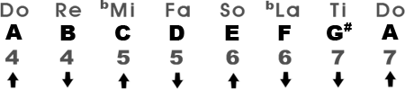 Harmonic Minor Scale in the Key of Am